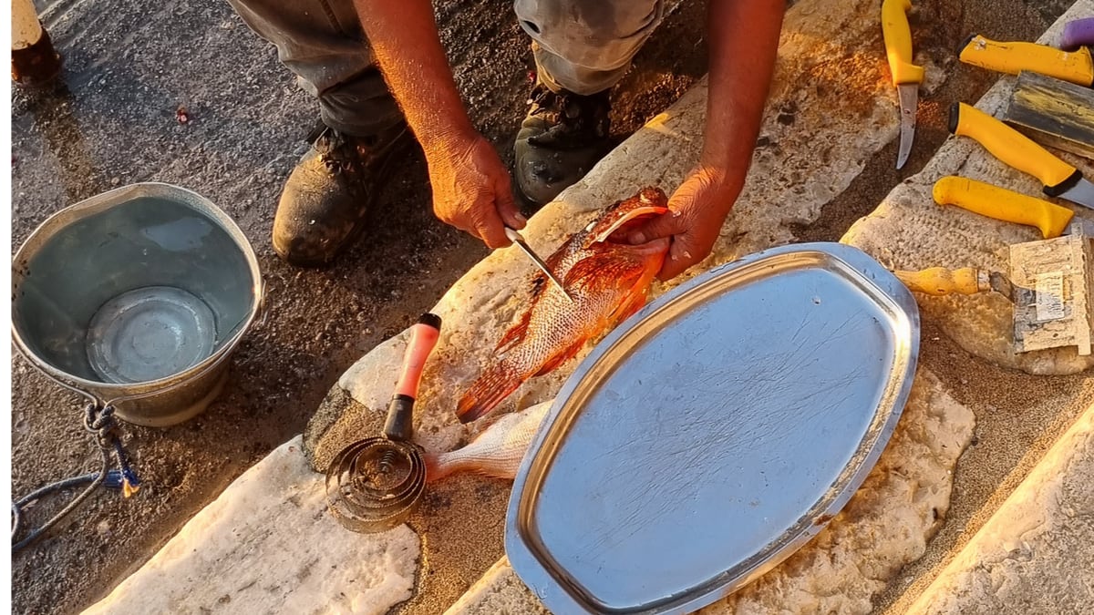 Fresh fish prepared at the harbour in the Mani